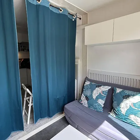 Climatise A 2 Pas De La Plage, Loggia, Parking Prive - - Fr-1-251-828 *