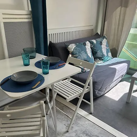 Climatise A 2 Pas De La Plage, Loggia, Parking Prive - - Fr-1-251-828 公寓 *