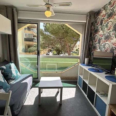 公寓 Climatise A 2 Pas De La Plage, Loggia, Parking Prive - - Fr-1-251-828 *