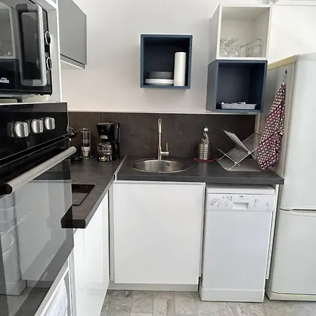 Climatise A 2 Pas De La Plage, Loggia, Parking Prive - - Fr-1-251-828